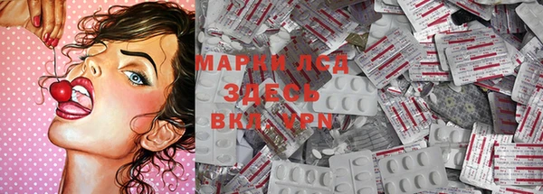 сатива Абинск