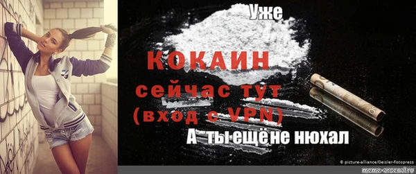 сатива Абинск
