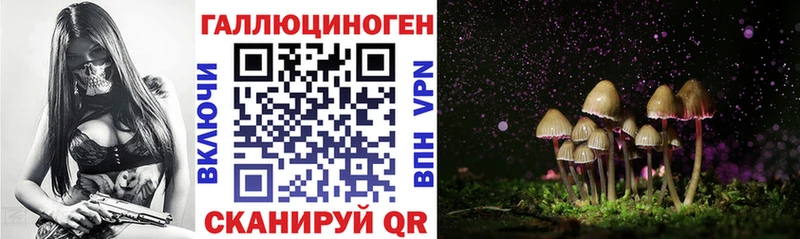 Галлюциногенные грибы Cubensis  наркота  Кировград 